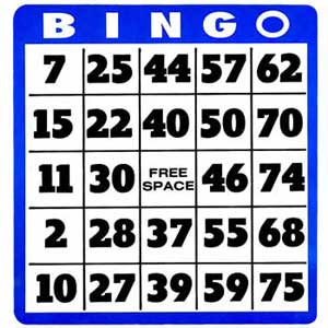 bingo bonus casino